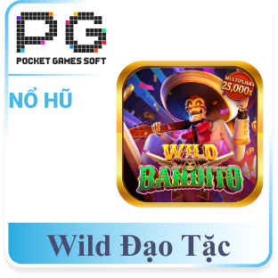 Wild Đạo Tặc